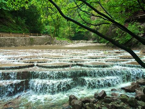 Taibai Daisanshan Parkı: Şehrin Gürültüsünden Uzakta Yemyeşil Bir Cennet!